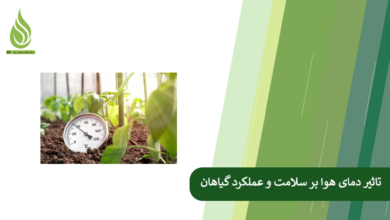 تصویر دمای هوا چه تاثیر هایی بر سلامت و عملکرد گیاهان می گذارد؟