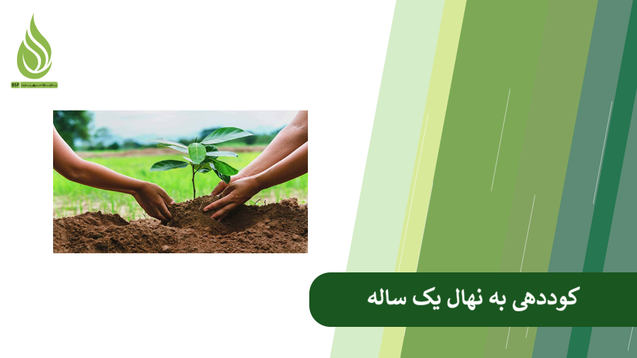 همه چیز درباره کوددهی به نهال یک ساله