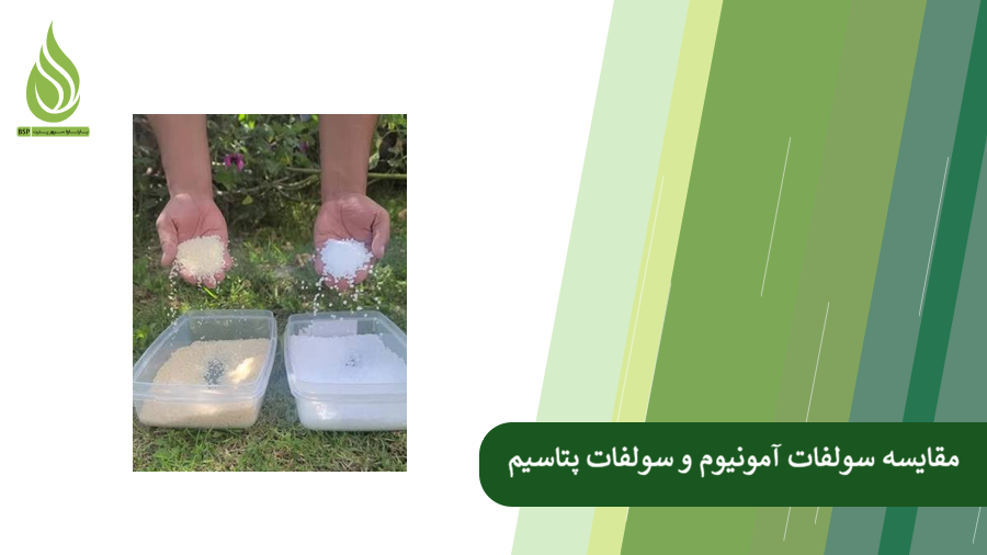 مقایسه سولفات آمونیوم و سولفات پتاسیم