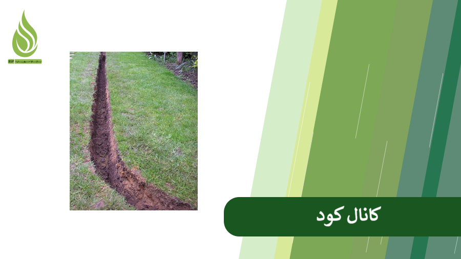 کوددهی به روش کانال کود