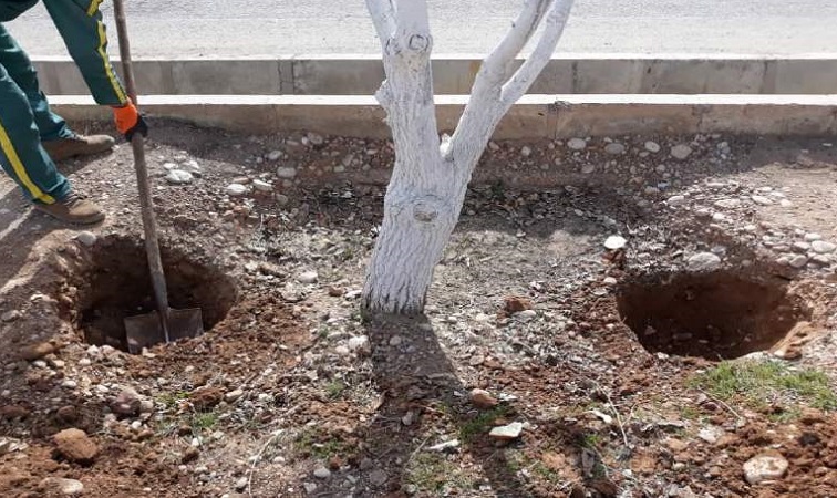 اجرای چال کود