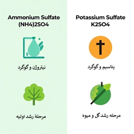 مقایسه سولفات پتاسیم و سولفات آمونیوم