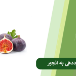 کوددهی به انجیر
