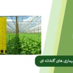 Greenhouse pests