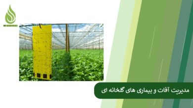 تصویر مدیریت آفات و بیماری های گلخانه ای با کودهای ارگانیک