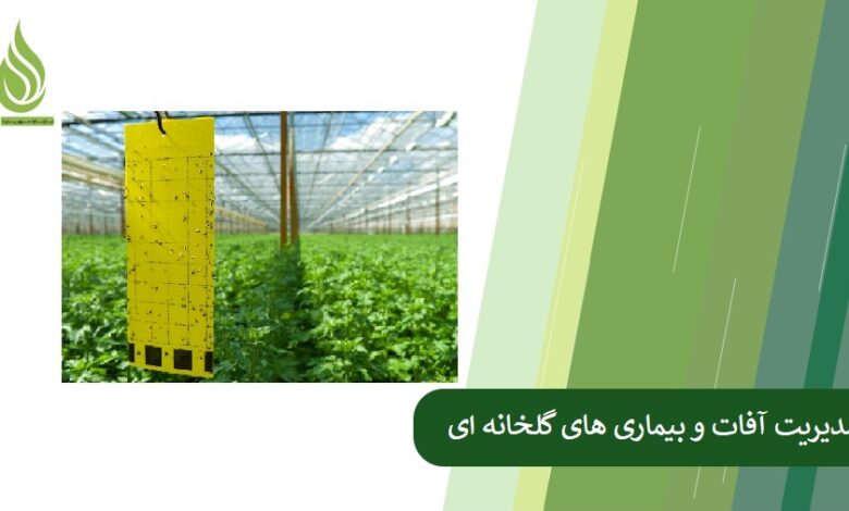 تصویر مدیریت آفات و بیماری های گلخانه ای با کودهای ارگانیک
