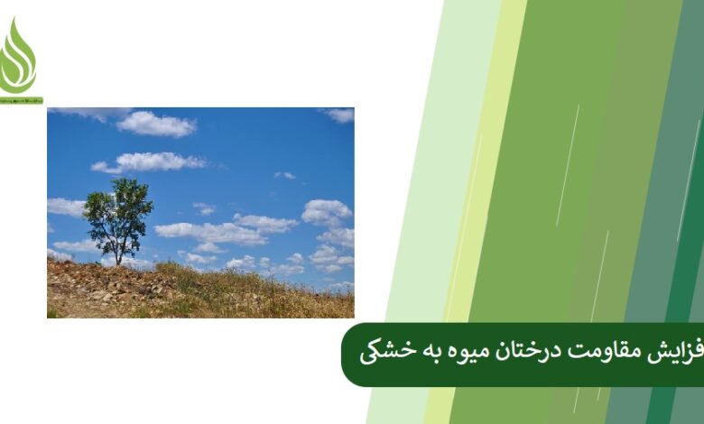 تصویر افزایش مقاومت درختان میوه به خشکی با کود مناسب