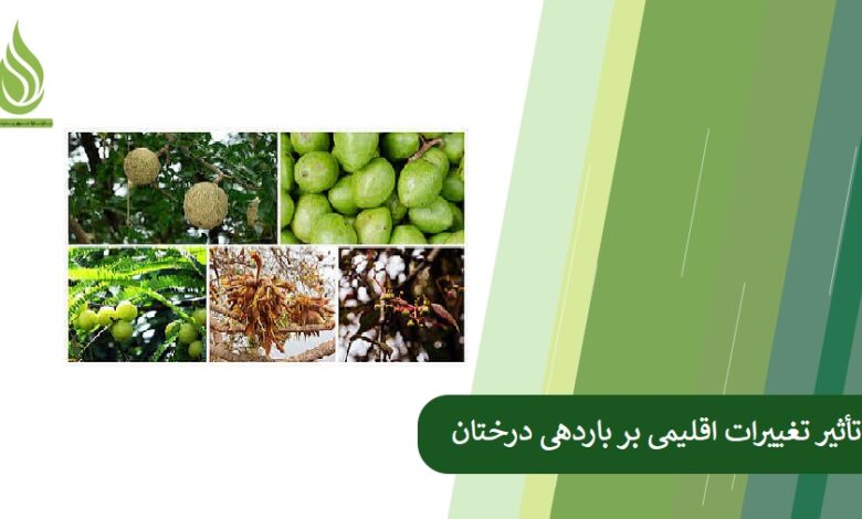 تصویر تأثیر تغییرات اقلیمی بر باردهی درختان میوه و راهکارها