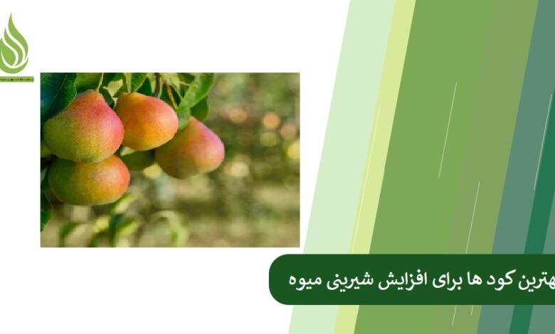 تصویر بهترین کود ها برای افزایش شیرینی میوه