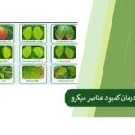 Diagnosis and treatment of micro-element deficiencies