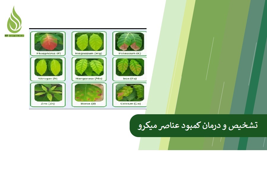 Diagnosis and treatment of micro-element deficiencies