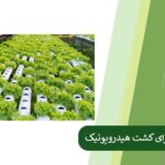 Hydroponic fertilization