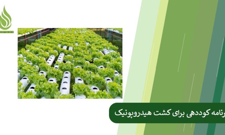 تصویر برنامه کوددهی برای کشت هیدروپونیک سبزیجات