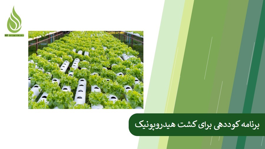 Hydroponic fertilization