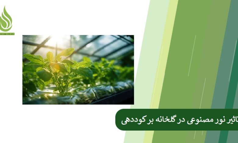 تصویر تاثیر نور مصنوعی در گلخانه بر فتوسنتز و کوددهی