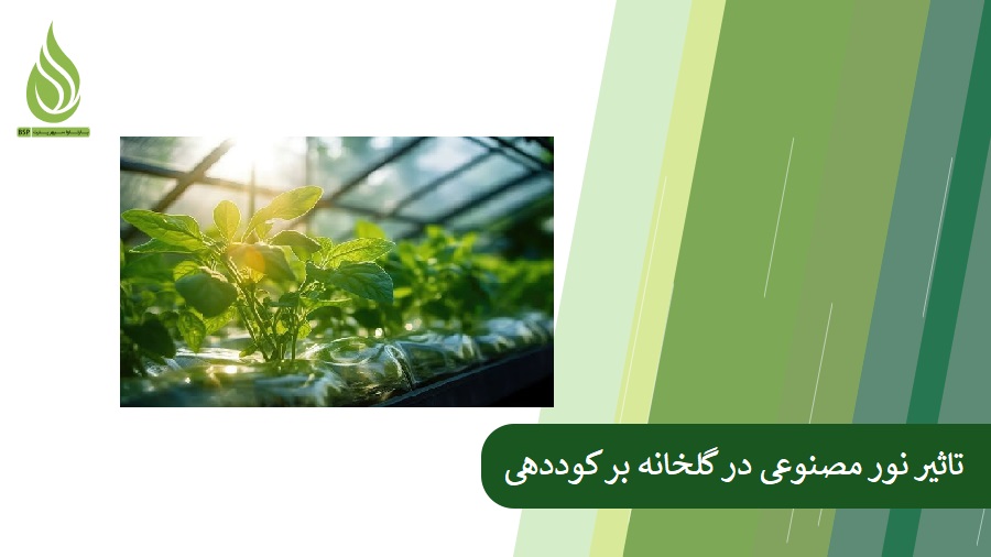 The effect of artificial light in the greenhouse