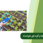 Irrigation water management