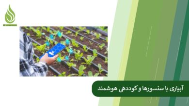 تصویر مدیریت آب آبیاری با سنسورها و کوددهی هوشمند