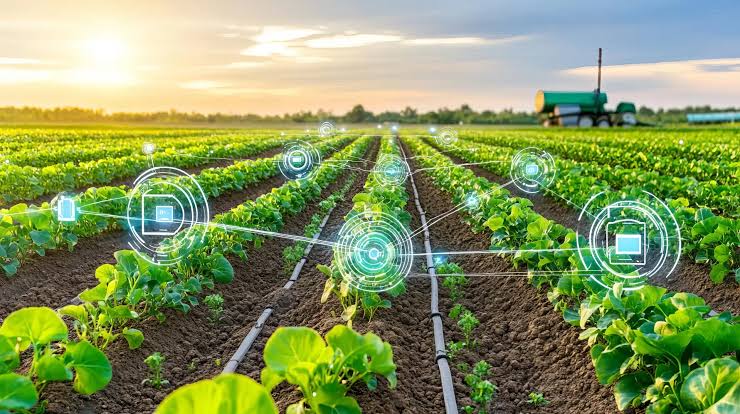 Irrigation water management