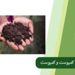Vermicompost and Compost in the Garden
