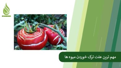 تصویر مهم ترین علت ترک خوردن میوه ها و روش های پیشگیری از آن