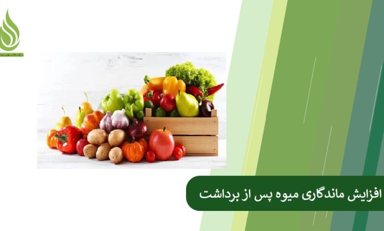 تصویر افزایش ماندگاری میوه پس از برداشت با تغذیه درست