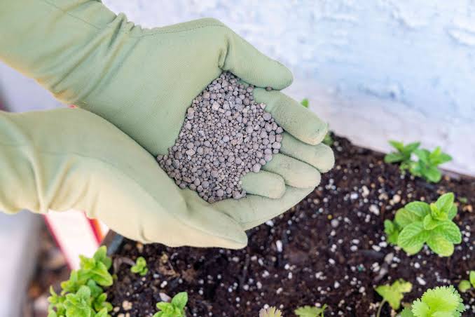 Fertilizer for calcareous soil
