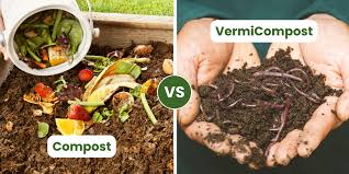 Vermicompost and Compost in the Garden
